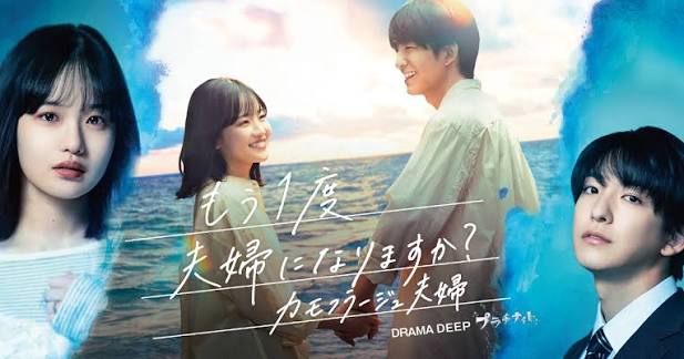 もう1度夫婦になりますか? ～カモフラージュ夫婦～